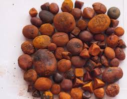 Cattle/Ox/Bovine Gallstones