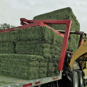 Alfalfa Hay Premium Standard