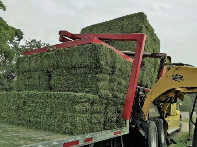 Alfalfa Hay Premium Standard