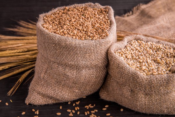barley supplier